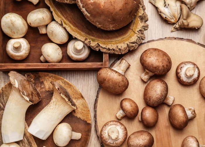 best_mushrooms_for_health